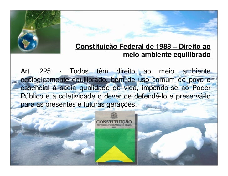 Existem Instrumentos Instituidos Pela Politica Nacional De Meio Ambiente