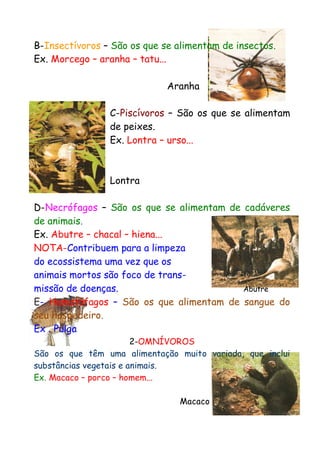B-Insectívoros – São os que se alimentam de insectos.
Ex. Morcego – aranha – tatu...
Aranha
C-Piscívoros – São os que se alimentam
de peixes.
Ex. Lontra – urso...

Lontra
D-Necrófagos – São os que se alimentam de cadáveres
de animais.
Ex. Abutre – chacal – hiena...
NOTA-Contribuem para a limpeza
do ecossistema uma vez que os
animais mortos são foco de transmissão de doenças.
Abutre
E- Hematófagos – São os que alimentam de sangue do
seu hospedeiro.
Ex . Pulga
2-OMNÍVOROS
São os que têm uma alimentação muito variada, que inclui
substâncias vegetais e animais.
Ex. Macaco – porco – homem...
Macaco

 