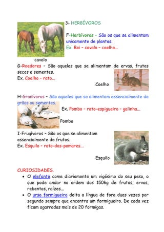 3- HERBÍVOROS
F-Herbívoros – São os que se alimentam
unicamente de plantas.
Ex. Boi – cavalo – coelho...
cavalo
G-Roedores – São aqueles que se alimentam de ervas, frutos
secos e sementes.
Ex. Coelho – rato...
Coelho
H-Granívoros – São aqueles que se alimentam essencialmente de
grãos ou sementes.
Ex. Pombo – rato-espigueiro – galinha...
Pombo
I-Frugívoros – São os que se alimentam
essencialmente de frutos.
Ex. Esquilo – rato-dos-pomares...
Esquilo
CURIOSIDADES.
 O elefante come diariamente um vigésimo do seu peso, o
que pode andar na ordem dos 150kg de frutos, ervas,
rebentos, raízes...
 O urso formigueiro deita a língua de fora duas vezes por
segundo sempre que encontra um formigueiro. De cada vez
ficam agarradas mais de 20 formigas.

 