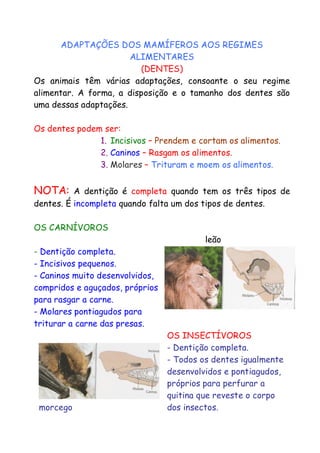 ADAPTAÇÕES DOS MAMÍFEROS AOS REGIMES
ALIMENTARES
(DENTES)
Os animais têm várias adaptações, consoante o seu regime
alimentar. A forma, a disposição e o tamanho dos dentes são
uma dessas adaptações.
Os dentes podem ser:
1. Incisivos – Prendem e cortam os alimentos.
2. Caninos – Rasgam os alimentos.
3. Molares – Trituram e moem os alimentos.

NOTA:

A dentição é completa quando tem os três tipos de
dentes. É incompleta quando falta um dos tipos de dentes.
OS CARNÍVOROS
leão
- Dentição completa.
- Incisivos pequenos.
- Caninos muito desenvolvidos,
compridos e aguçados, próprios
para rasgar a carne.
- Molares pontiagudos para
triturar a carne das presas.

morcego

OS INSECTÍVOROS
- Dentição completa.
- Todos os dentes igualmente
desenvolvidos e pontiagudos,
próprios para perfurar a
quitina que reveste o corpo
dos insectos.

 
