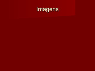 ImagensImagens
 
