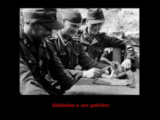 Soldados e um gatinho
 