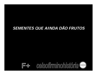 SEMENTES QUE AINDA DÃO FRUTOS
 