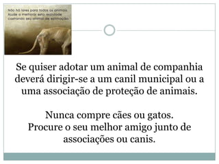 Se quiser adotar um animal de companhia
deverá dirigir-se a um canil municipal ou a
 uma associação de proteção de animais.

     Nunca compre cães ou gatos.
  Procure o seu melhor amigo junto de
         associações ou canis.
 