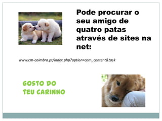 Pode procurar o
              seu amigo de
              quatro patas
              através de sites na
              net:




Gosto do
teu carinho
 