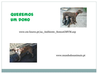 Queremos
um dono

  www.cm-loures.pt/aa_Ambiente_SomosGMVM.asp




                             www.mundodosanimais.pt
 