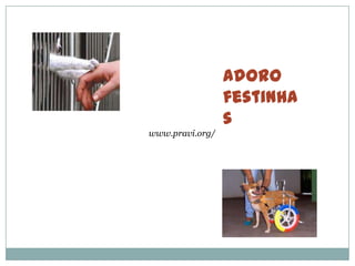 Adoro
                 festinha
                 s
www.pravi.org/
 
