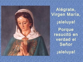 Alégrate,
Virgen María,
¡aleluya!
Porque
resucitó en
verdad el
Señor
¡aleluya!
 