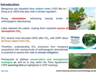Methane water-to-air flux and carbon storage potential in restored ...
