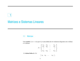 1

Matrizes e Sistemas Lineares



           1.1    Matrizes

           Uma matriz A, m × n (m por n), e uma tabela de mn numeros dispostos em m linhas
                                          ´                    ´
           e n colunas                                          
                                           a11 a12 . . .    a1n
                                        a21 a22 . . .      a2n 
                                  A= .                      . .
                                                                
                                        .  .        ...     . 
                                                             .
                                           am1     am2       ...         amn

            A i-´ sima linha de A e
                e                 ´
                                          ai1    ai2   ...         ain     ,

                                      1
 