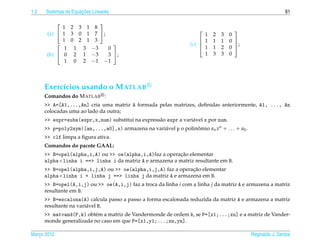 1.2                   ¸˜
      Sistemas de Equacoes Lineares                                                                            61

                      
             1 2 3 1 8
       (a)  1 3 0 1 7 ;
                                                                                      
                                                                         1   2   3   0
             1 0 2 1 3                                                  1   1   1   0 
                                                                   (c) 
                                                                        1
                                                                                       ;
                                                                             1   2   0 
                           
              1 1 3 −3    0
       (b)  0 2 1 −3     3 ;                                           1   3   3   0
              1 0 2 −1 −1



      Exerc´cios usando o M ATLAB
           ı
      Comandos do M ATLAB :
      >> A=[A1,...,An] cria uma matriz A formada pelas matrizes, deﬁnidas anteriormente, A1, ..., An
      colocadas uma ao lado da outra;
      >> expr=subs(expr,x,num) substitui na express˜ o expr a vari´ vel x por num.
                                                   a              a
      >> p=poly2sym([an,...,a0],x) armazena na vari´ vel p o polinomio an x n + . . . + a0 .
                                                   a              ˆ
      >> clf limpa a ﬁgura ativa.
      Comandos do pacote GAAL:
                                                         ¸˜
      >> B=opel(alpha,i,A) ou >> oe(alpha,i,A)faz a operacao elementar
      alpha×linha i ==> linha i da matriz A e armazena a matriz resultante em B.
                                                              ¸˜
      >> B=opel(alpha,i,j,A) ou >> oe(alpha,i,j,A) faz a operacao elementar
      alpha×linha i + linha j ==> linha j da matriz A e armazena em B.
      >> B=opel(A,i,j) ou >> oe(A,i,j) faz a troca da linha i com a linha j da matriz A e armazena a matriz
      resultante em B.
      >> B=escalona(A) calcula passo a passo a forma escalonada reduzida da matriz A e armazena a matriz
      resultante na vari´ vel B.
                        a
      >> matvand(P,k) obt´ m a matriz de Vandermonde de ordem k, se P=[x1;...;xn] e a matriz de Vander-
                         e
      monde generalizada no caso em que P=[x1,y1;...;xn,yn].

Marco 2012
   ¸                                                                                           Reginaldo J. Santos
 