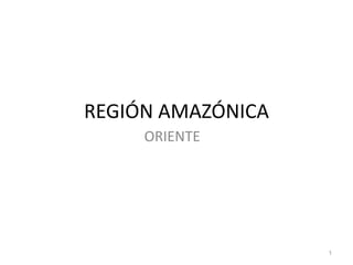 REGIÓN AMAZÓNICA
     ORIENTE




                   1
 