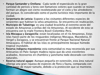• Parque Santander y Orellana: Cada tarde el espectáculo es la gran
cantidad de pericos y loros con llamativos colores que cuando se reúnen
forman un alegre con cierto revoloteando por el cielo y los alrededores
del parque. Es considerado como el punto turístico más importante de la
ciudad.
• Serpentario de Leticia: Expone a los visitantes diferentes especies de
serpientes que habitan la selva amazónica. Se encuentra en reubicación.
• Municipio de Tabatinga: es una ciudad brasileña al extremo oeste del
estado de Amazonas a orillas del río Amazonas. Al occidente de esta se
encuentra con la triple frontera Brasil-Colombia-Perú.
• Isla Mocagua y Zaragocilla: están localizadas en el río Amazonas, Estas
islas hacen parte de los resguardos indígenas Mocagua, Macedonia, El
Vergel y Zaragoza, y se encuentran frente al Parque Nacional Natural
Amacayacu. El hábitat de las islas es principalmente bosque húmedo
tropical inundable.
• Reserva indigena macedonia: esta comunidad es muy reconocida por sus
Artesanías en Palo-Sangre madera rojiza que da unos excelentes
acabados. Accesorios en chambira y yanchama todo decorado con tintes
naturales.
• Reserva natural agape: Aunque pequeña en extensión, esta área natural
alberga una gran riqueza de especies de flora y fauna, comparada con
otras áreas de mayor tamaño, debido a la protección que se mantiene.
 