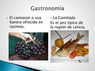  El caimaron o uva
llanera ofrecida en
racimos.
 La Gamitada
Es el pez típico de
la región de Leticia.
 