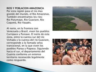RIOS Y POBLACION AMAZONICA
Por esta región pasa el rio mas
grande del mundo, el Rio Amazonas.
También encontramos los ríos:
Rio Putumayo, Rio Guaviare, Rio
Caquetá, Rio Vaupés.
Al norte, en la frontera con
Venezuela y Brasil, viven los pueblos
Curripaco y Puinave. El norte de esta
zona, entre la cuenca sur del río
Vichada y la cuenca del río Guaviare,
corresponde a la llamada selva
transicional, en la que viven los
pueblos Piaroa y Piapoco. Siguiendo
hacia el sur, el departamento del
Guainía conforma un extenso
territorio reconocido legalmente
como resguardo.
 
