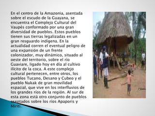 En el centro de la Amazonia, asentada
sobre el escudo de la Guayana, se
encuentra el Complejo Cultural del
Vaupés conformado por una gran
diversidad de pueblos. Estos pueblos
tienen sus tierras legalizadas en un
gran resguardo indígena. En la
actualidad corren el eventual peligro de
una expansión de un frente
colonizador, muy dinámico, situado al
oeste del territorio, sobre el río
Guaviare, ligado hoy en día al cultivo
ilícito de la coca. A este complejo
cultural pertenecen, entre otros, los
pueblos Tucano, Desano y Cubeo y el
pueblo Nukak de gran movilidad
espacial, que vive en los interfluvios de
los grandes ríos de la región. Al sur de
esta zona está otro conjunto de pueblos
asentados sobre los ríos Apaporis y
Mirití.
 