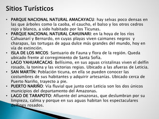 Sitios Turísticos
• PARQUE NACIONAL NATURAL AMACAYACU: hay selvas poco densas en
las que árboles como la caoba, el caucho, el balso y los otros cedros
rojo y blanco, a sido habitado por los Ticunas.
• PARQUE NACIONAL NATURAL CAHUINARI: en la hoya de los ríos
Cahuanarí y Bernardo, en cuyas playas viven caimanes negros y
charapas, las tortugas de agua dulce más grandes del mundo, hoy en
vía de extinción.
• ISLA DE LOS MICOS: Santuario de Fauna y flora de la región. Queda
ubicado frente al corregimiento de Santa Sofía.
• LAGO YAHUARCACAS: Bellísimo, en sus aguas cristalinas viven el delfín
rosado, la tonina y las victorias regias. Ubicado a las afueras de Leticia.
• SAN MARTÍN: Población ticuna, en ella se pueden conocer las
costumbres de sus habitantes y adquirir artesanías. Ubicado cerca de
Puerto Nariño, trayecto a pie.
• PUERTO NARIÑO: Vía fluvial que junto con Leticia son los dos únicos
municipios del departamento del Amazonas.
• LAGO DE TARAPOTO: Afluente del amazonas, que deslumbran por su
limpieza, calma y porque en sus aguas habitan los espectaculares
delfines rosados.
 