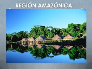 REGIÓN AMAZÓNICA
 