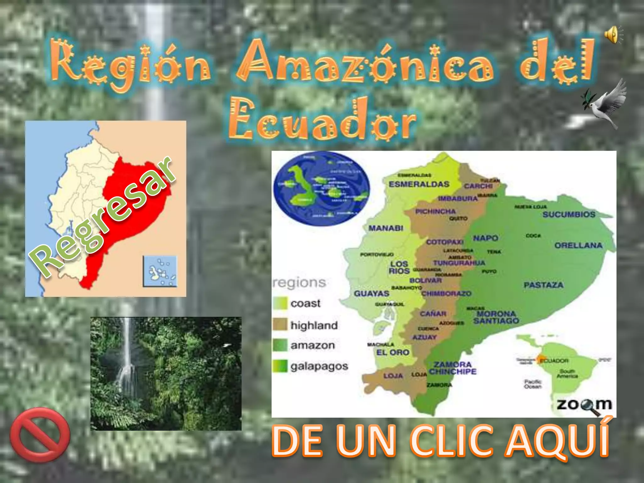 Región amazónica del ecuador | PPTX