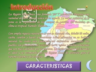 Región amazónica del ecuador | PPTX