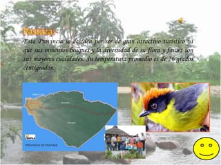 Región amazónica del ecuador | PPTX