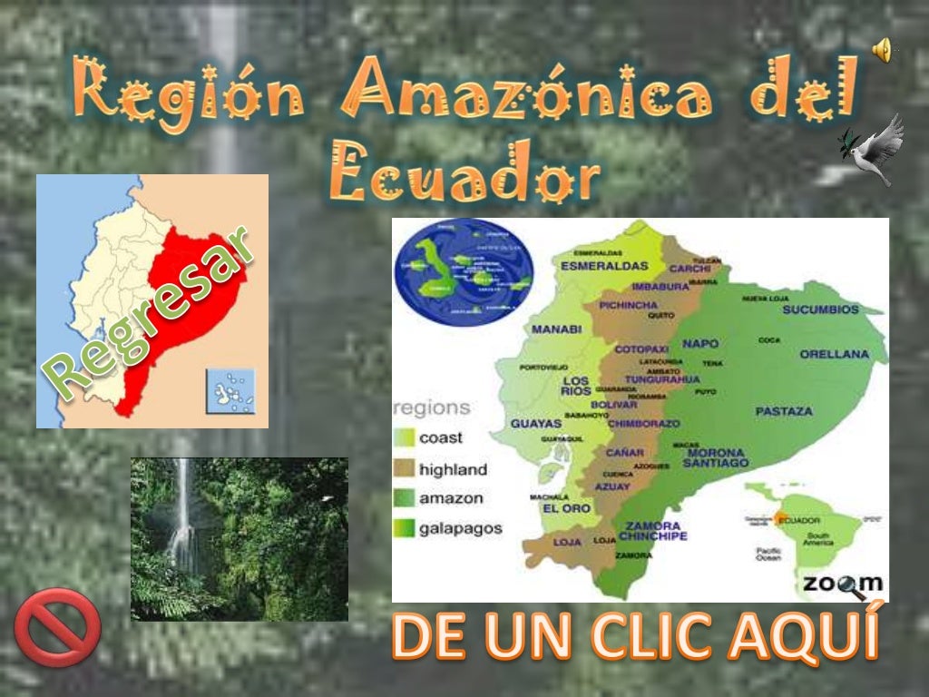 Zona Amazonica De Ecuador