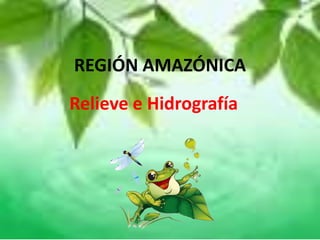 REGIÓN AMAZÓNICA
Relieve e Hidrografía
 