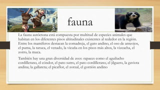 fauna 
La fauna autóctona está compuesta por multitud de especies animales que 
habitan en los diferentes pisos altitudinales existentes al rededor en la región. 
Entre los mamíferos destacan la comadreja, el gato andino, el oso de anteojos, 
el puma, la taruca, el venado, la vicuña en los pisos más altos, la vizcacha, el 
zorro, la muca. 
También hay una gran diversidad de aves: rapaces como el aguilucho 
cordillerano, el cóndor, el pato sutro, el pato cordillerano, el jilguero, la gaviota 
andina; la gallareta; el picaflor, el zorzal, el gorrión andino 
 