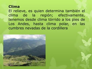 Clima
El relieve, es quien determina también el
clima de la región; efectivamente,
tenemos desde clima tórrido a los pies de
Los Andes, hasta clima polar, en las
cumbres nevadas de la cordillera
 