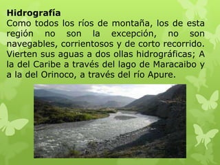 Hidrografía
Como todos los ríos de montaña, los de esta
región no son la excepción, no son
navegables, corrientosos y de corto recorrido.
Vierten sus aguas a dos ollas hidrográficas; A
la del Caribe a través del lago de Maracaibo y
a la del Orinoco, a través del río Apure.
 