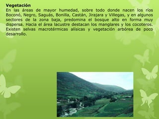 Vegetación
En las áreas de mayor humedad, sobre todo donde nacen los ríos
Boconó, Negro, Saguás, Bonilla, Castán, Jirajara y Villegas, y en algunos
sectores de la zona baja, predomina el bosque alto en forma muy
dispersa. Hacia el área lacustre destacan los manglares y los cocoteros.
Existen selvas macrotérmicas alísicas y vegetación arbórea de poco
desarrollo.
 