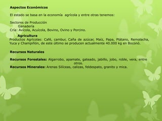 Aspectos Económicos

El estado se basa en la economía agrícola y entre otras tenemos:

Sectores de Producción
     Ganadería
Cría: Avícola, Acuícola, Bovino, Ovino y Porcino.
     Agricultura
Productos Agrícolas: Café, cambur, Caña de azúcar, Maíz, Papa, Plátano, Remolacha,
Yuca y Champiñón, de este último se producen actualmente 40.000 kg en Boconó.

Recursos Naturales

Recursos Forestales: Algarrobo, apamate, gateado, jabillo, jobo, roble, vera, entre
                                      otros.
Recursos Minerales: Arenas Silíceas, calizas, feldespato, granito y mica.
 