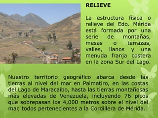 RELIEVE

                            La estructura física o
                            relieve del Edo. Mérida
                            está formada por una
                            serie   de   montañas,
                            mesas     o    terrazas,
                            valles, llanos y una
                            menuda franja costera
                            en la zona Sur del Lago.

Nuestro territorio geográfico abarca desde las
tierras al nivel del mar en Palmatiro, en las costas
del Lago de Maracaibo, hasta las tierras montañosas
más elevadas de Venezuela, incluyendo 76 picos
que sobrepasan los 4,000 metros sobre el nivel del
mar, todos pertenecientes a la Cordillera de Mérida.
 