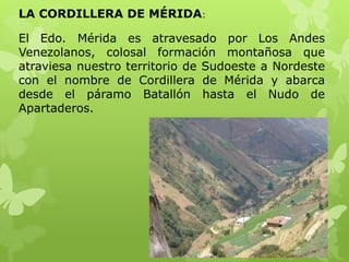 LA CORDILLERA DE MÉRIDA:

El Edo. Mérida es atravesado por Los Andes
Venezolanos, colosal formación montañosa que
atraviesa nuestro territorio de Sudoeste a Nordeste
con el nombre de Cordillera de Mérida y abarca
desde el páramo Batallón hasta el Nudo de
Apartaderos.
 