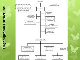 Organigrama Estructural
 