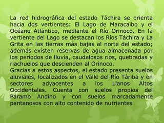 La red hidrográfica del estado Táchira se orienta
hacia dos vertientes: El Lago de Maracaibo y el
Océano Atlántico, mediante el Río Orinoco. En la
vertiente del Lago se destacan los Ríos Táchira y La
Grita en las tierras más bajas al norte del estado;
además existen reservas de agua almacenada por
los períodos de lluvia, caudalosos ríos, quebradas y
riachuelos que descienden al Orinoco.
Gracias a estos aspectos, el estado presenta suelos
aluviales, localizados en el Valle del Río Táriba y en
sectores     adyacentes     a    los   Llanos    Altos
Occidentales. Cuenta con suelos propios del
Páramo Andino y con suelos marcadamente
pantanosos con alto contenido de nutrientes
 