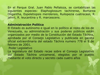 En el Parque Gral. Juan Pablo Peñaloza, se contabilizan las
siguientes especies: Elaphoglossum tachirense, Bomarea
Oligantha, Espeletiopsis meridensis, Ruilopezia cuatrecasii, R.
jahnii, R. leucantina y R. marcescens.

Administración Política
El Estado es autónomo e igual en lo político al resto de los de
Venezuela, su administración y sus poderes públicos están
organizados por medio de la Constitución del Estado Táchira,
aprobada por el Consejo Legislativo y publicada en gaceta
oficial extraordinaria del estado Táchira numero 778 el 9 de
febrero de 2001.
 Poder Legislativo
La legislatura del Estado recae sobre el Consejo Legislativo
del Estado Táchira unicameral, elegidos por el pueblo
mediante el voto directo y secreto cada cuatro años
 