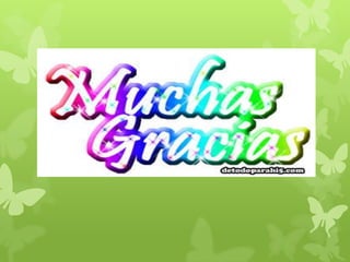 Región andina de Venezuela