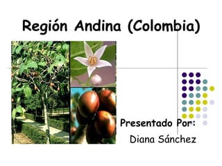 Región Andina (Colombia) Presentado Por: Diana Sánchez 