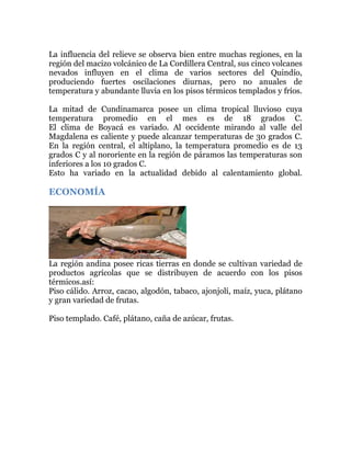 La influencia del relieve se observa bien entre muchas regiones, en la
región del macizo volcánico de La Cordillera Central, sus cinco volcanes
nevados influyen en el clima de varios sectores del Quindío,
produciendo fuertes oscilaciones diurnas, pero no anuales de
temperatura y abundante lluvia en los pisos térmicos templados y fríos.
La mitad de Cundinamarca posee un clima tropical lluvioso cuya
temperatura promedio en el mes es de 18 grados C.
El clima de Boyacá es variado. Al occidente mirando al valle del
Magdalena es caliente y puede alcanzar temperaturas de 30 grados C.
En la región central, el altiplano, la temperatura promedio es de 13
grados C y al nororiente en la región de páramos las temperaturas son
inferiores a los 10 grados C.
Esto ha variado en la actualidad debido al calentamiento global.

ECONOMÍA

La región andina posee ricas tierras en donde se cultivan variedad de
productos agrícolas que se distribuyen de acuerdo con los pisos
térmicos.así:
Piso cálido. Arroz, cacao, algodón, tabaco, ajonjolí, maíz, yuca, plátano
y gran variedad de frutas.
Piso templado. Café, plátano, caña de azúcar, frutas.

 