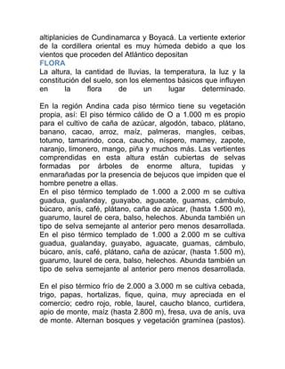 altiplanicies de Cundinamarca y Boyacá. La vertiente exterior
de la cordillera oriental es muy húmeda debido a que los
vientos que proceden del Atlántico depositan
FLORA
La altura, la cantidad de lluvias, la temperatura, la luz y la
constitución del suelo, son los elementos básicos que influyen
en
la
flora
de
un
lugar
determinado.
En la región Andina cada piso térmico tiene su vegetación
propia, así: El piso térmico cálido de O a 1.000 m es propio
para el cultivo de caña de azúcar, algodón, tabaco, plátano,
banano, cacao, arroz, maíz, palmeras, mangles, ceibas,
totumo, tamarindo, coca, caucho, níspero, mamey, zapote,
naranjo, limonero, mango, piña y muchos más. Las vertientes
comprendidas en esta altura están cubiertas de selvas
formadas por árboles de enorme altura, tupidas y
enmarañadas por la presencia de bejucos que impiden que el
hombre penetre a ellas.
En el piso térmico templado de 1.000 a 2.000 m se cultiva
guadua, gualanday, guayabo, aguacate, guamas, cámbulo,
búcaro, anís, café, plátano, caña de azúcar, (hasta 1.500 m),
guarumo, laurel de cera, balso, helechos. Abunda también un
tipo de selva semejante al anterior pero menos desarrollada.
En el piso térmico templado de 1.000 a 2.000 m se cultiva
guadua, gualanday, guayabo, aguacate, guamas, cámbulo,
búcaro, anís, café, plátano, caña de azúcar, (hasta 1.500 m),
guarumo, laurel de cera, balso, helechos. Abunda también un
tipo de selva semejante al anterior pero menos desarrollada.
En el piso térmico frío de 2.000 a 3.000 m se cultiva cebada,
trigo, papas, hortalizas, fique, quina, muy apreciada en el
comercio; cedro rojo, roble, laurel, caucho blanco, curtidera,
apio de monte, maíz (hasta 2.800 m), fresa, uva de anís, uva
de monte. Alternan bosques y vegetación gramínea (pastos).

 