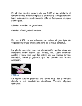 En el piso térmico páramo de los 3.000 m en adelante el
tamaño de los árboles empieza a disminuir y la vegetación se
hace más escasa, predominando sólo los frailejones, musgos
y chusques.
4.000 m abundan las gramíneas.
4.400 m sólo algunos Líquenes.

De los 4.400 m en adelante no existe ningún tipo de
vegetación porque empieza la zona de la nieve perpetua.

La planta necesita para su
minerales como hierro, cal,
arcillas y lodo para que las
humedad, arena y guijarros
aireación.

alimentación suelos ricos en
fósforo, etc. Debe contener
raíces de las plantas tengan
que les permita una buena

FAUNA
La región Andina presenta una fauna muy rica y variada
debido a sus condiciones climáticas. Veamos algunos
ejemplos:

 