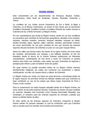 REGIÓN ANDINA
Está comprendida por los departamentos de Antioquia, Boyacá, Caldas,
Cundinamarca, Huila, Norte de Santander, Quindío, Risaralda, Santander y
Tolima.
La cordillera de Los Andes recorre Suramérica de Sur a Norte, al llegar a
Colombia, en el Macizo Colombiano, se divide en tres ramas que se denominan
Cordillera Occidental, Cordillera Central y Cordillera Oriental, las cuales recorren a
Colombia de Sur a Norte formando La Región Andina.
Por las características que brinda la Región Andina, dentro de sus tres cordilleras
se encuentran gran variedad de formaciones geográficas naturales como nevados,
volcanes, volcanes nevados, paramos, bosques naturales, bosques de niebla,
fuentes termales, lagos, lagunas, valles, cañones, mesetas, yacimientos mineros,
así como nacimientos de una gran cantidad de ríos que recorren las diversas
regiones del país haciendo de Colombia un país con una gran riqueza hídrica.
Sobre los valles que forman estos ríos dentro de la región Andina, así como sobre
las mesetas, aprovechando sus riquezas y sus bellezas naturales, se han ido
levantado desde la época de la colonia diversas poblaciones de diferentes
características, contribuyendo de esa forma a hacer de Colombia un paraíso
turístico para todos sus visitantes, pues existe una gran diversidad de regiones y
paisajes para ofrecer y para complacer todos los gustos.
De igual manera es posible encontrar dentro de La Región Andina diversos
asentamientos indígenas, los cuales aún conservan sus costumbres y culturas
contribuyendo con ello a la riqueza étnica y cultural de Colombia
La Región Andina por contar con todos los pisos térmicos y encontrarse dentro de
la región tropical, ha permitido brindar los hábitats ideales para que Colombia se
haya constituido en uno de los países que ofrece mayor diversidad de Flora y
Fauna a nivel mundial.
Para la conservación de estas riquezas naturales dentro de la Región Andina, así
como dentro de las otras regiones del país, Colombia ha creado una gran cantidad
de reservas naturales más conocidos como Parques Nacionales Naturales, que
constituyen un santuario para las diversas especies de animales y plantas que
tienen su hábitat dentro de ellos.
En total, dentro de las diversas regiones de Colombia, incluyendo la Región
Andina existen 54 parques naturales, lo cual ha contribuido para que Colombia
sea un paraíso para los amantes de la práctica del ecoturismo.
 