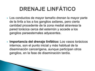  Los conductos de mayor tamaño drenan la mayor parte
de la linfa a los a los ganglios axilares, pero cierta
cantidad procedente de la zona medial atraviesa la
pared torácica cerca del esternón y accede a los
ganglios paraesternales adyacentes.
 Importancia del drenaje linfático: Los vasos torácicos
internos, son el punto inicial y más habitual de la
diseminación cancerígena, aunque participan otros
ganglios, en la fase de diseminación tardía.
 