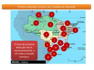 Primeira detecção no Brasil, por Unidade da Federação 
2 
1 
4 
1 
1 
1 
5 
2 
2 
1 
3 
2 
1 
2 
12 
4 
20 
5 
O local de primeira 
detecção não é, 
necessariamente, a 
UF onde a invasão 
começou. 
 