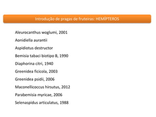 Introdução de pragas de fruteiras: HEMÍPTEROS 
Aleurocanthus woglumi, 2001 
Aonidiella aurantii 
Aspidiotus destructor 
Bemisia tabaci biotipo B, 1990 
Diaphorina citri, 1940 
Greenidea ficicola, 2003 
Greenidea psidii, 2006 
Maconellicoccus hirsutus, 2012 
Parabemisia myricae, 2006 
Selenaspidus articulatus, 1988 
 