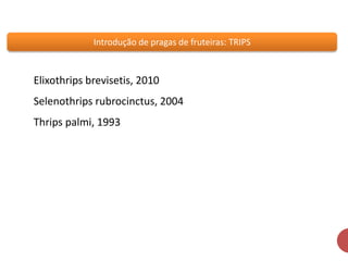 Introdução de pragas de fruteiras: TRIPS 
Elixothrips brevisetis, 2010 
Selenothrips rubrocinctus, 2004 
Thrips palmi, 1993 
 