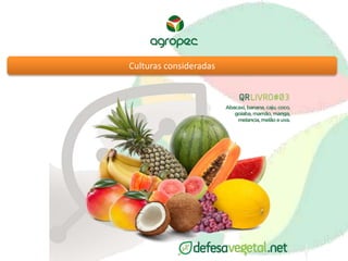 Culturas consideradas 
 