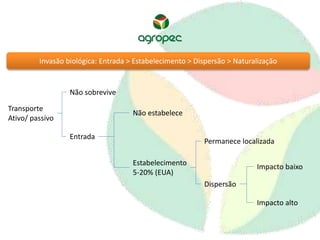 Invasão biológica: Entrada > Estabelecimento > Dispersão > Naturalização 
Transporte 
Ativo/ passivo 
Não sobrevive 
Entrada 
Não estabelece 
Estabelecimento 
5-20% (EUA) 
Permanece localizada 
Dispersão 
Impacto baixo 
Impacto alto 
 