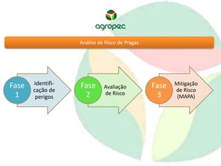 Análise de Risco de Pragas 
Identifi-cação 
de 
perigos 
Fase 
1 
Avaliação 
de Risco 
Fase 
2 
Mitigação 
de Risco 
(MAPA) 
Fase 
3 
 